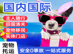 塔城空运国际宠物托运 【国